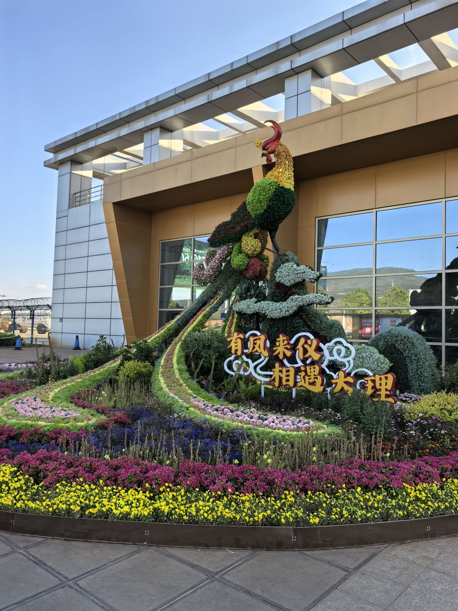 大理风花雪月慢生活自驾之旅