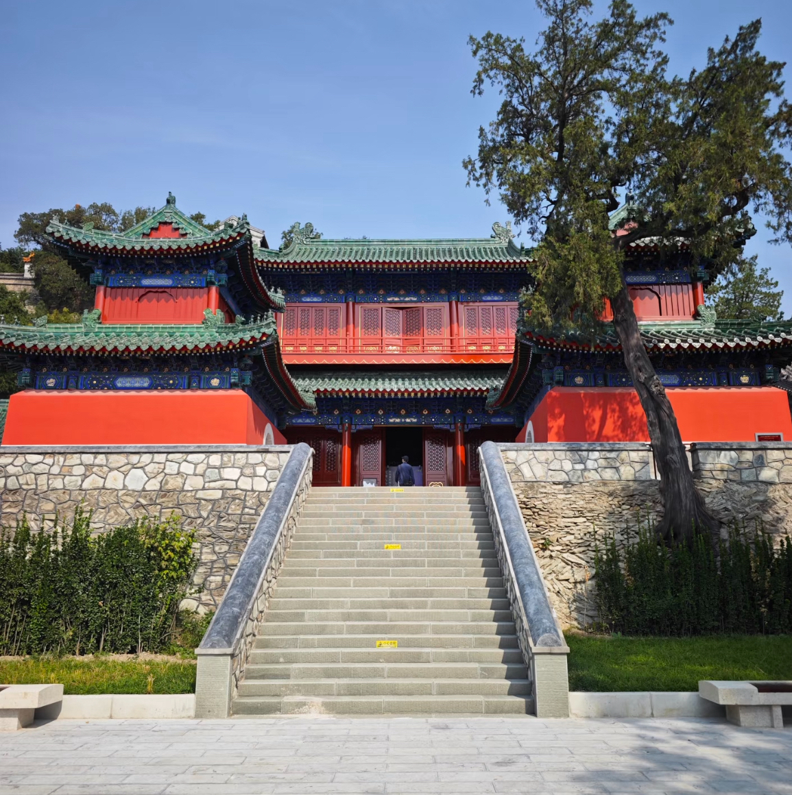 古都与霓虹:京阪神东 7 日铁路之旅