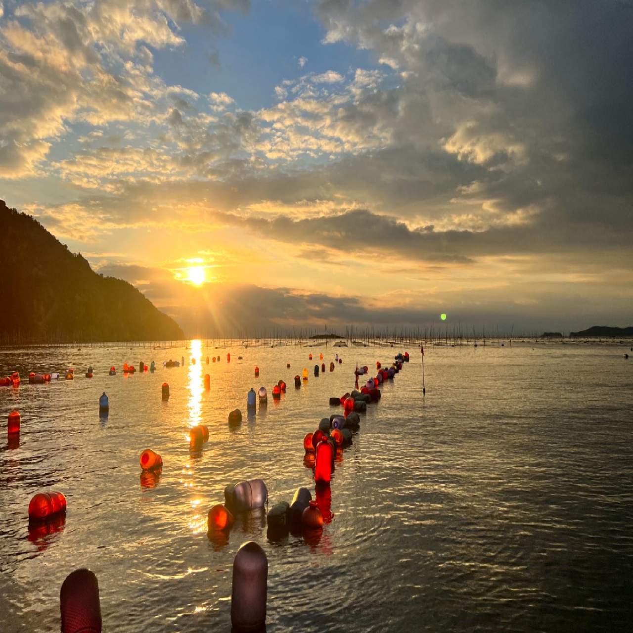 北岐滩涂